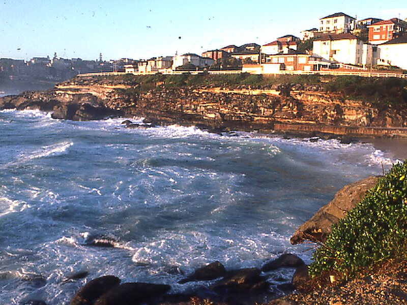 Tamarama Beach