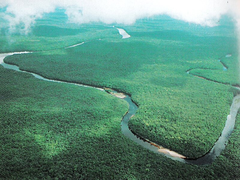 rio-orinoco-venezuela-sygic-travel