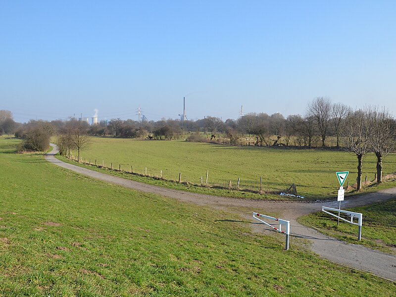 Die Roos (alter Rheinarm)