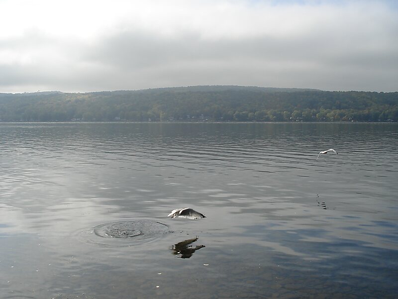 Honeoye Lake in New York, United States | Tripomatic