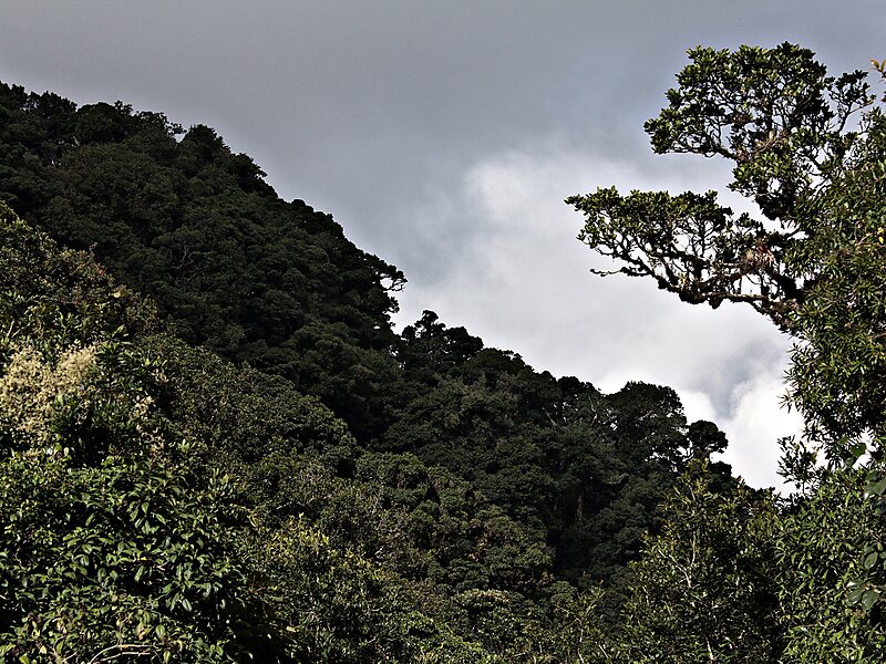 La Tigra National Park