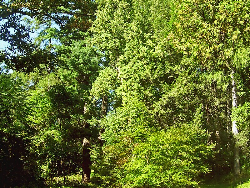 Springside National Historic Site