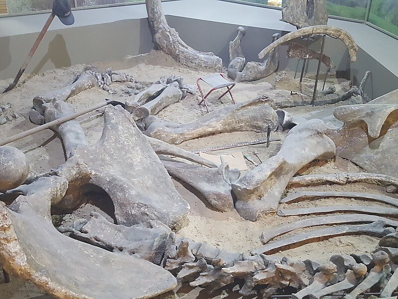 Краеведческий музей