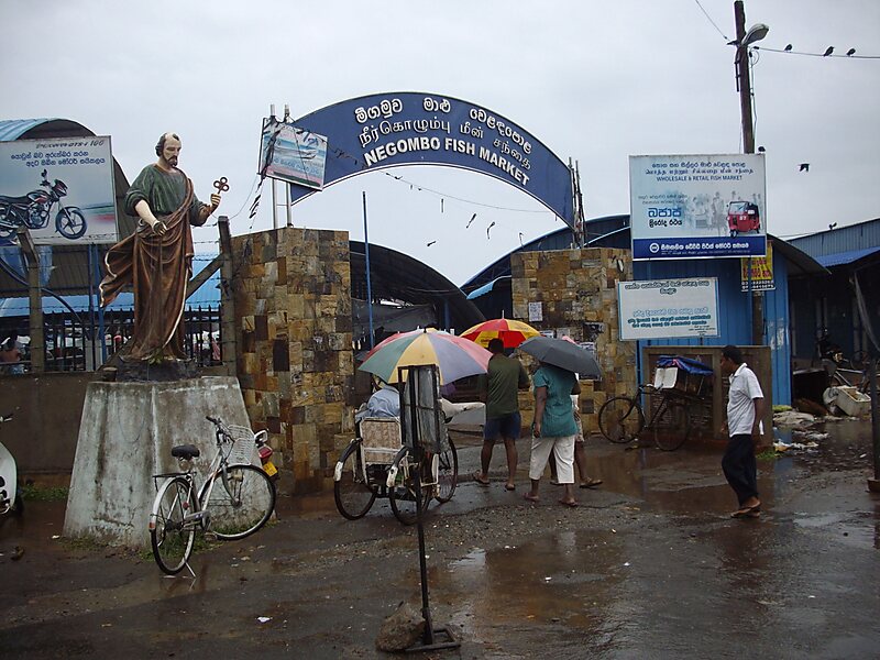 Negombo Fish Market
