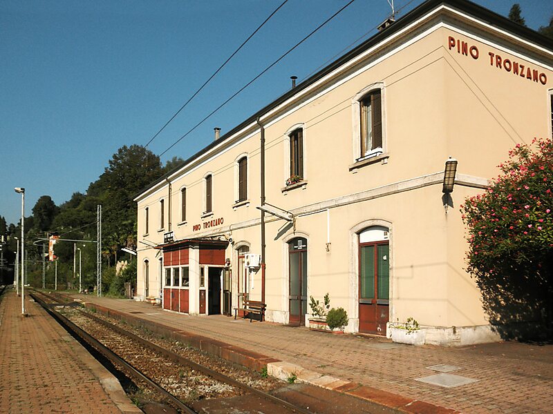 Pino sulla Sponda del Lago Maggiore