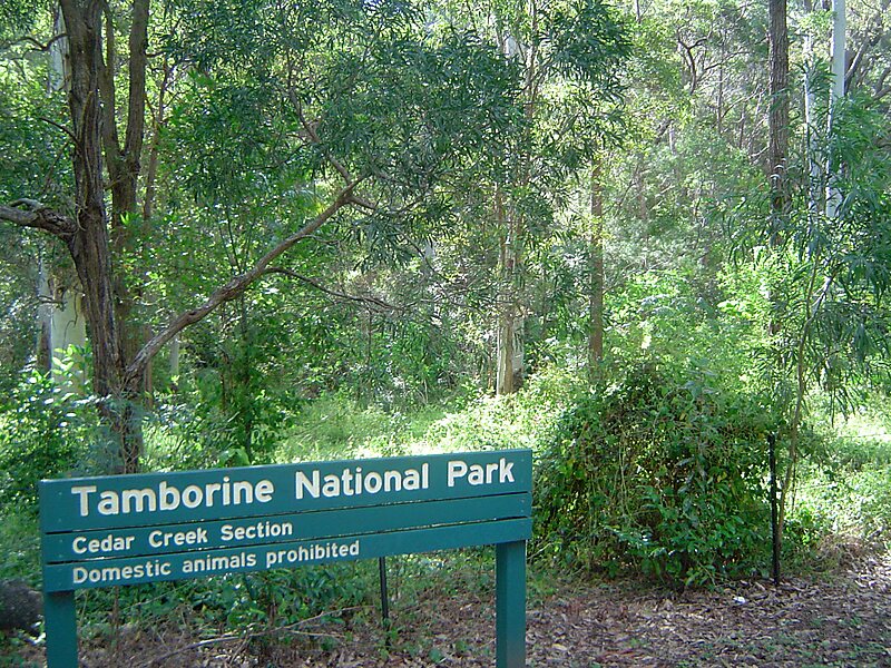 Parque nacional Tamborine en Queensland, Australia Sygic Travel