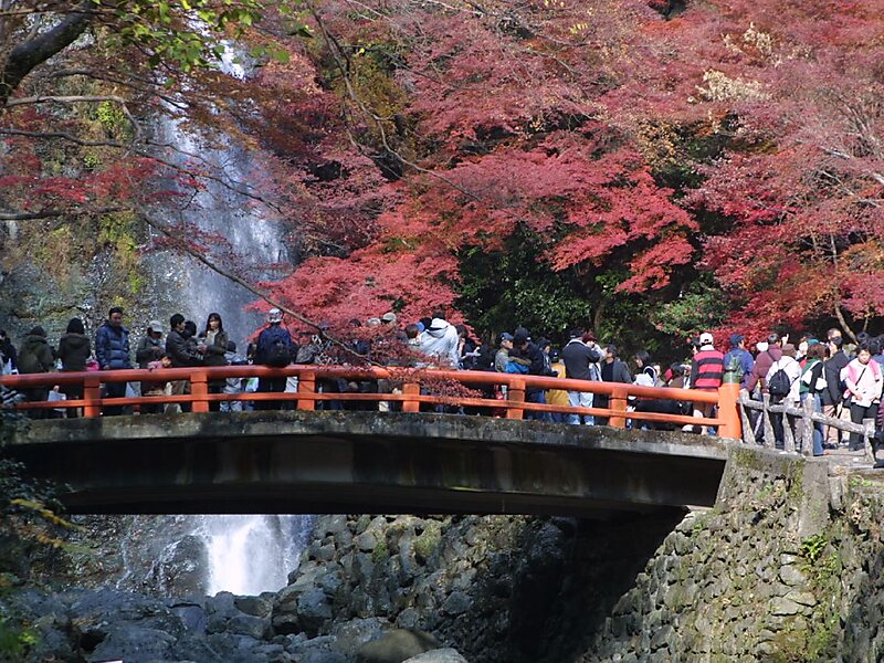 Parc quasi national de Meiji no Mori Minō