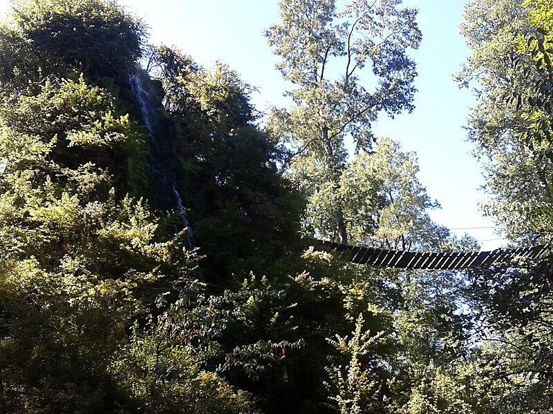 Montaña Mágica Lodge