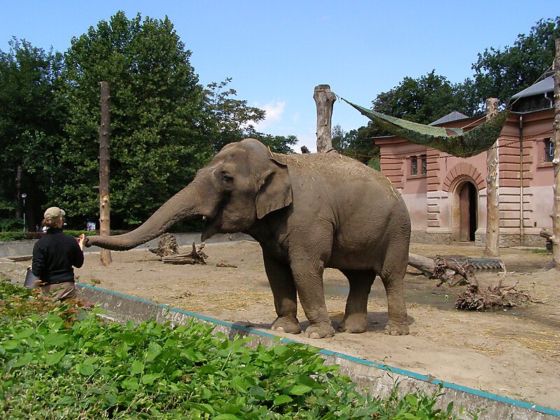 Wrocław Zoological Garden