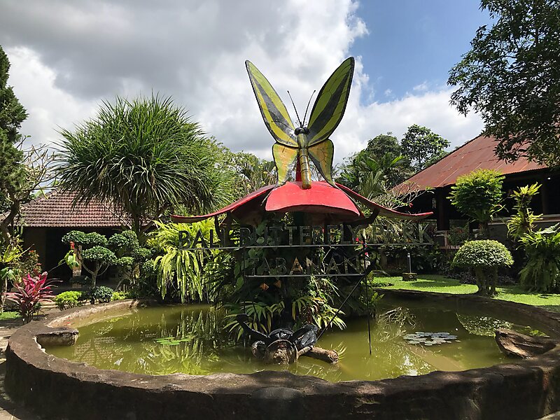 Bali Bali Butterfly Park Sygic Travel Bali Bali Butterfly Park Sygic Travel