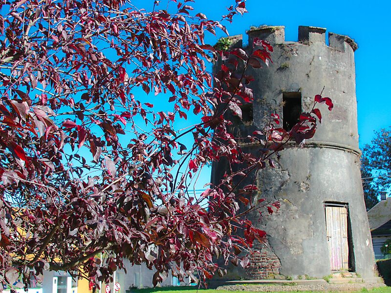 Torreón Los Canelos
