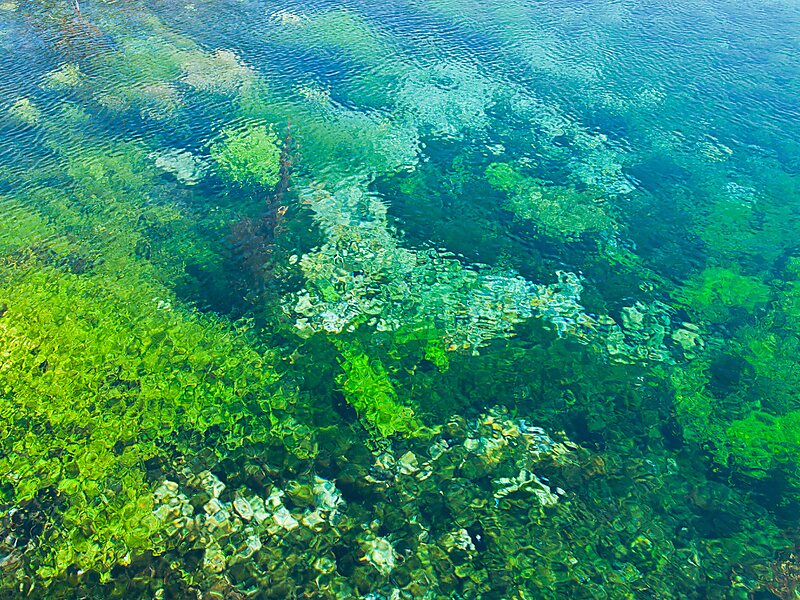 Te Waikoropupū Springs