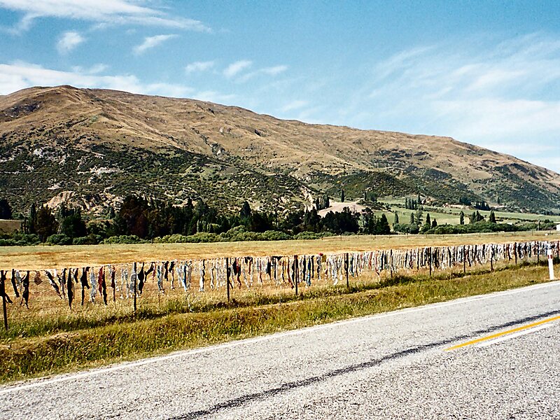 Cardrona Bra Fence
