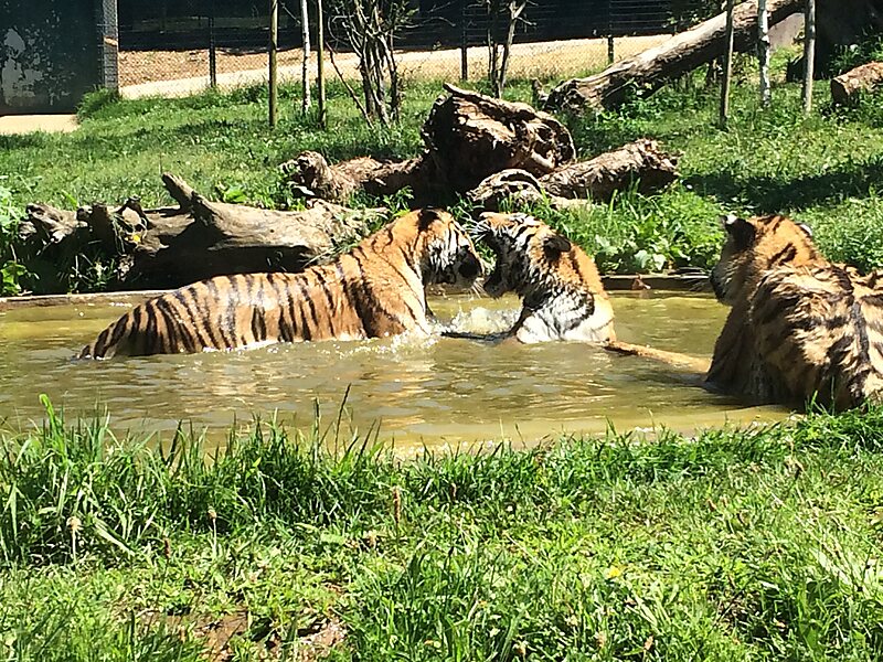 Santo Inacio Park Zoo In Vila Nova De Gaia Portugal Sygic Travel