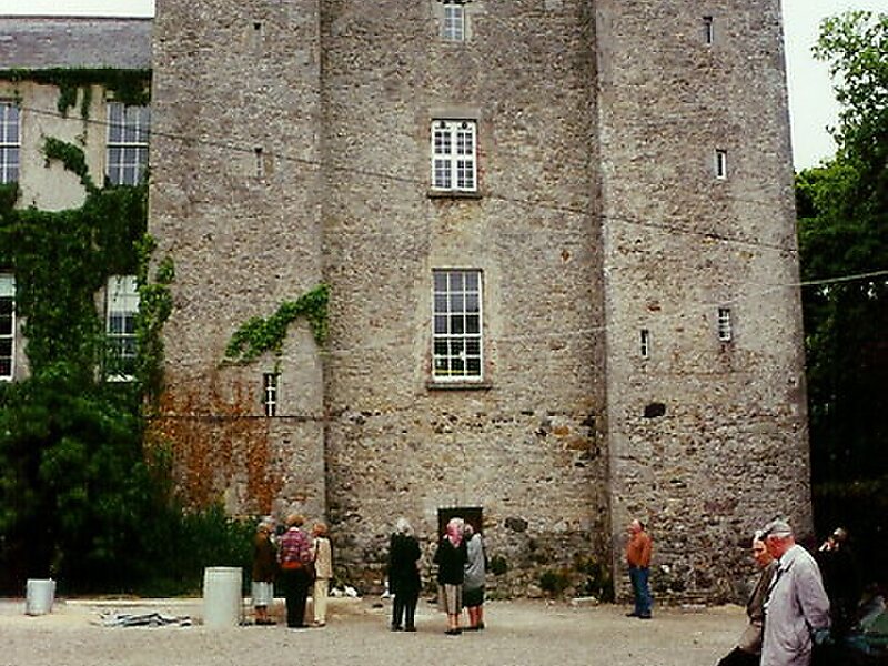 Dardistown Castle (Tower House)