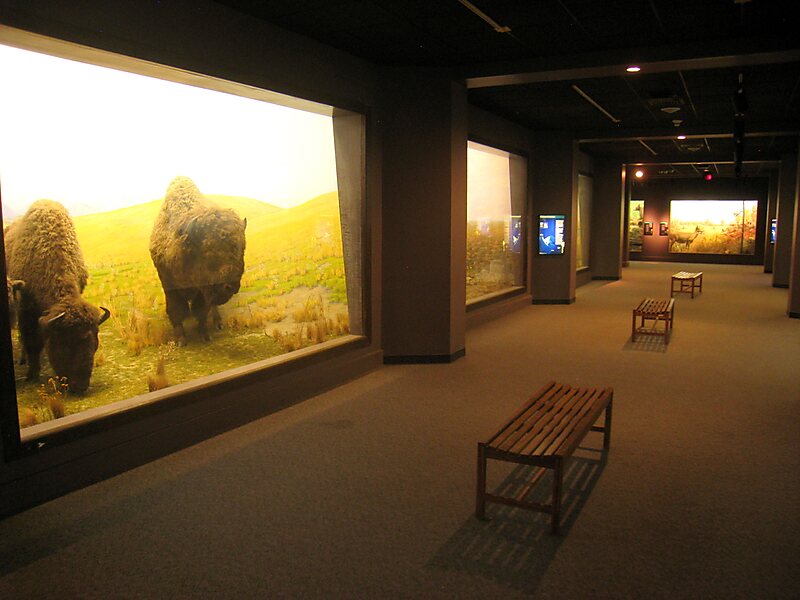 Academy of natural sciences of drexel university in philadelphia