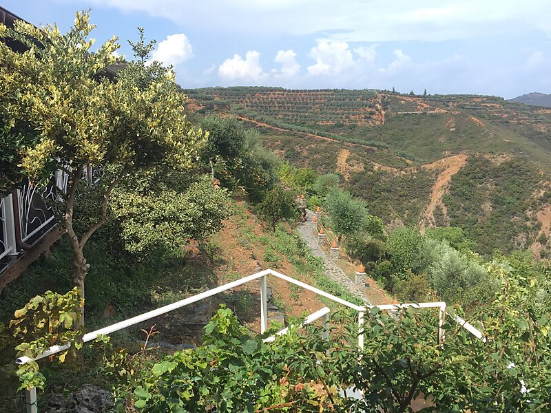 Botanical Park Of Crete