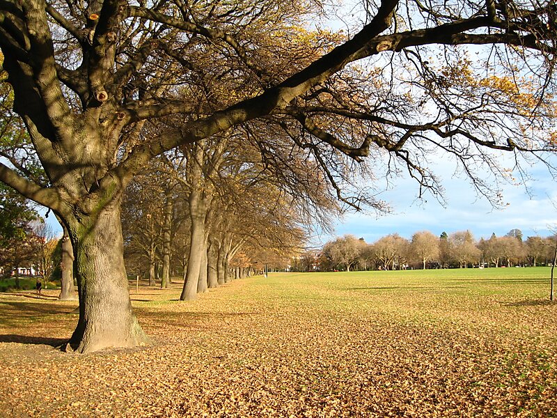 Hagley Park South - Christchurch, 뉴질랜드 | Tripomatic