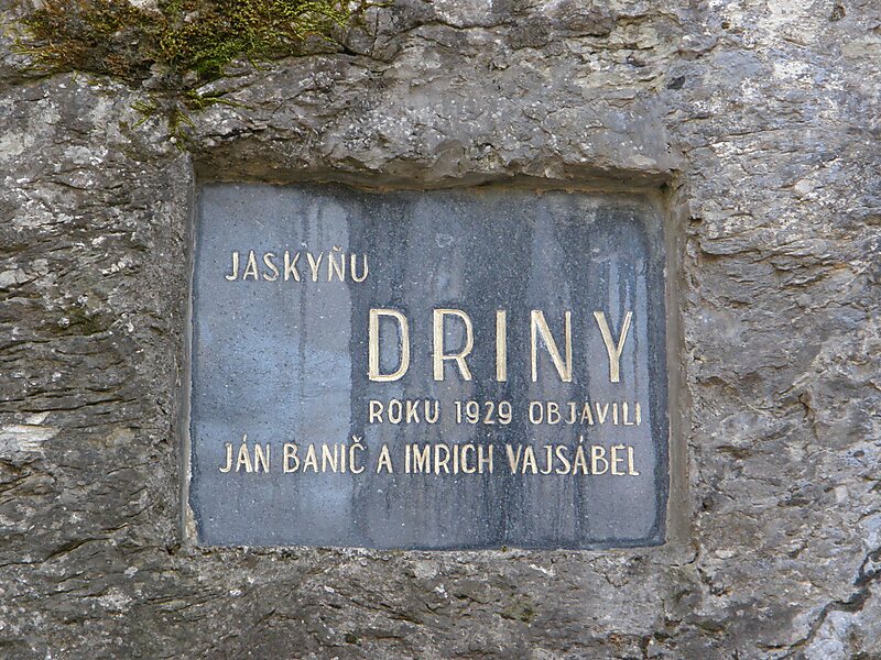 Driny Cave