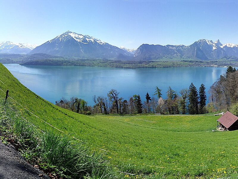 Lake Thun