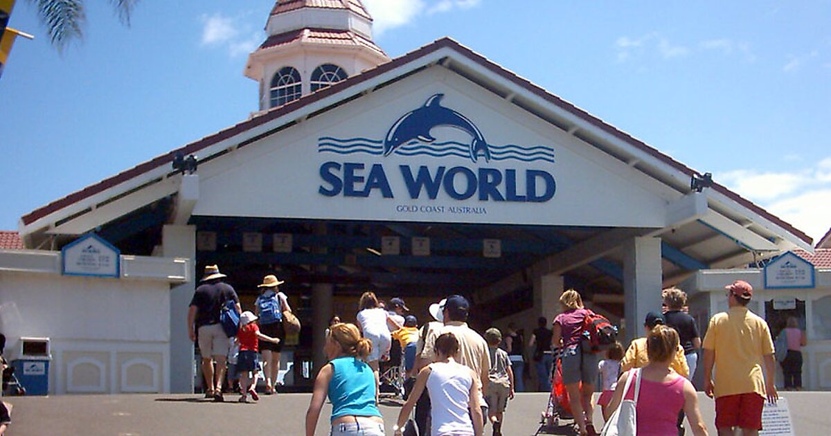 Seaworld in Queensland, Australia | Sygic Travel